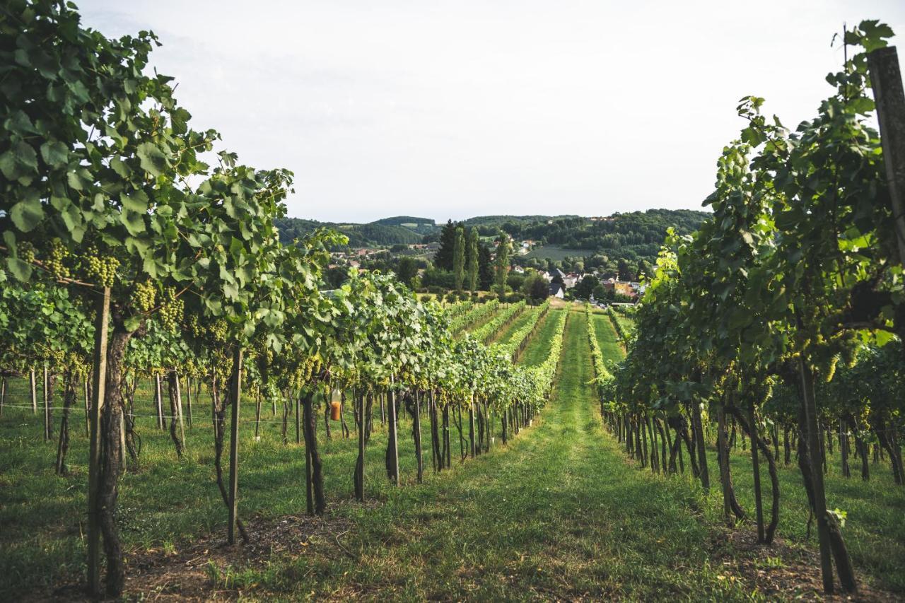 Wein & Gaestehof Erlacher Hartmannsdorf Экстерьер фото
